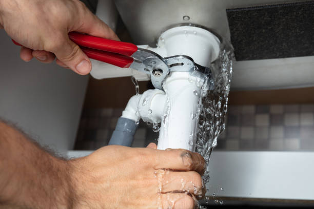 Best Flood restoration services  in Georgetown, IL