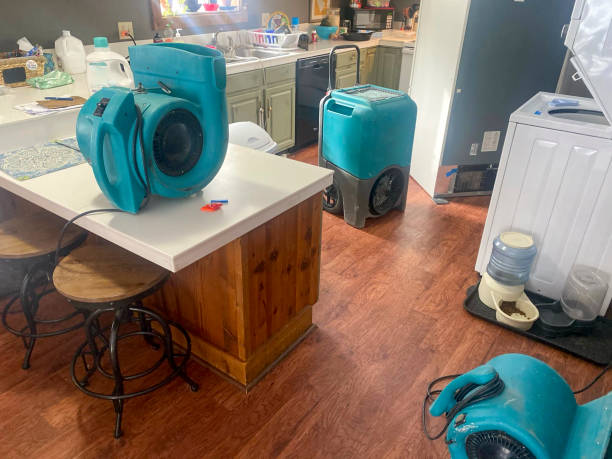Best Ceiling water damage repair  in Georgetown, IL