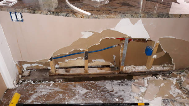 Best Mold removal after water damage  in Georgetown, IL