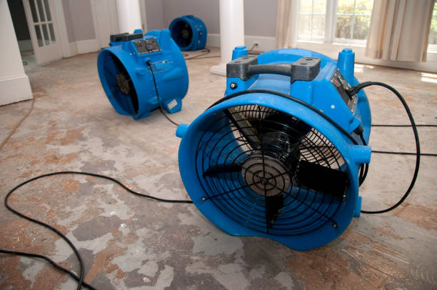 Best Water damage restoration experts  in Georgetown, IL