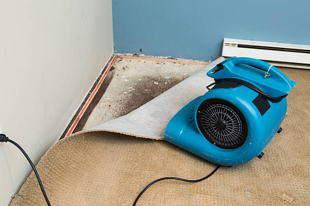  Georgetown, IL Water damage restoration Pros